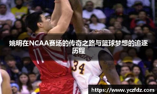 ballbet贝博bb平台艾佛森官网