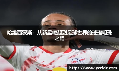 ballbet贝博bb平台艾佛森官网